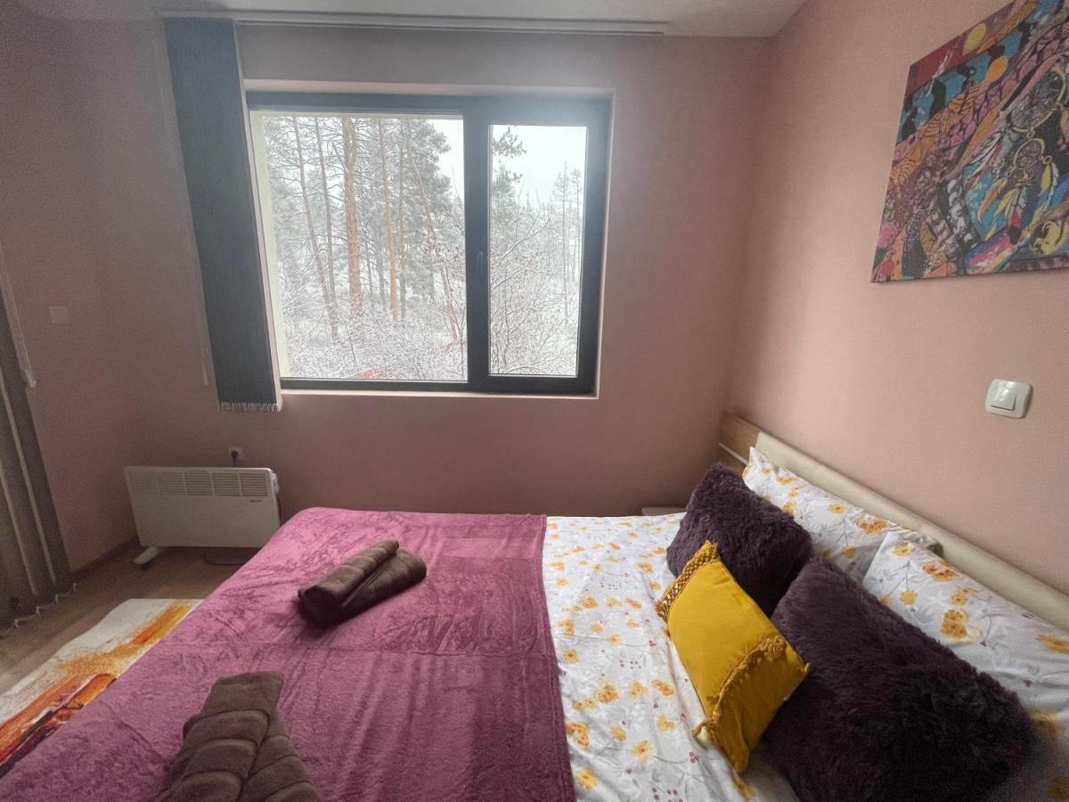 Appartement Nikol 2 Deluxe à Velingrad Extérieur photo